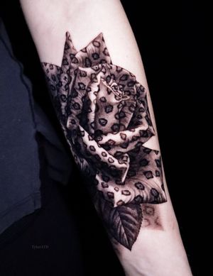 Fresh leopard rose tattoo in black and grey realism
