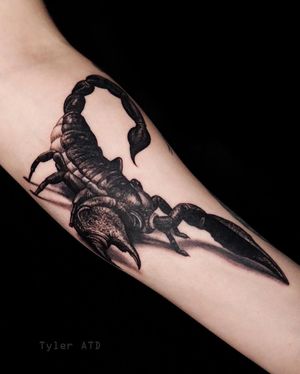 Small realistic black and grey scorpion tattoo. 