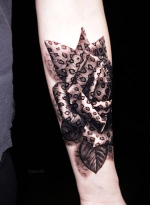 Leopard rose. Black and grey realistic tattoo