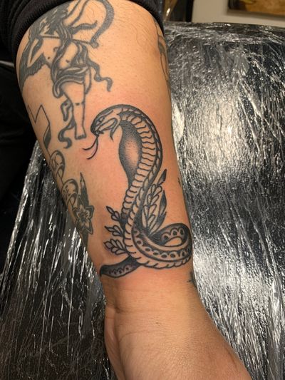 Embrace the serpentine power with this classic traditional snake tattoo by the talented artist Laurel. Perfect for those who seek a symbol of transformation and rebirth.