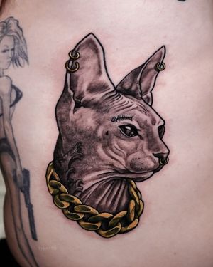 Gangster kitty. Illustrative tattoo from my flash. Mostly black and grey sphinx cat.