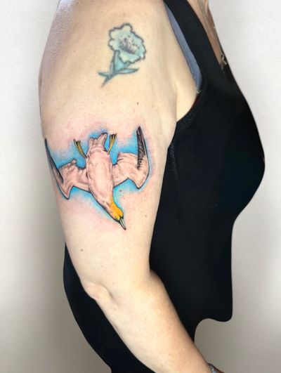 A diving gannet for Shirley, I will never EVER tire of birds! . #birdtattoo #animaltattoo #seabirdtattoo #gannettattoo #birdtattoolondon #animaltattoolondon
