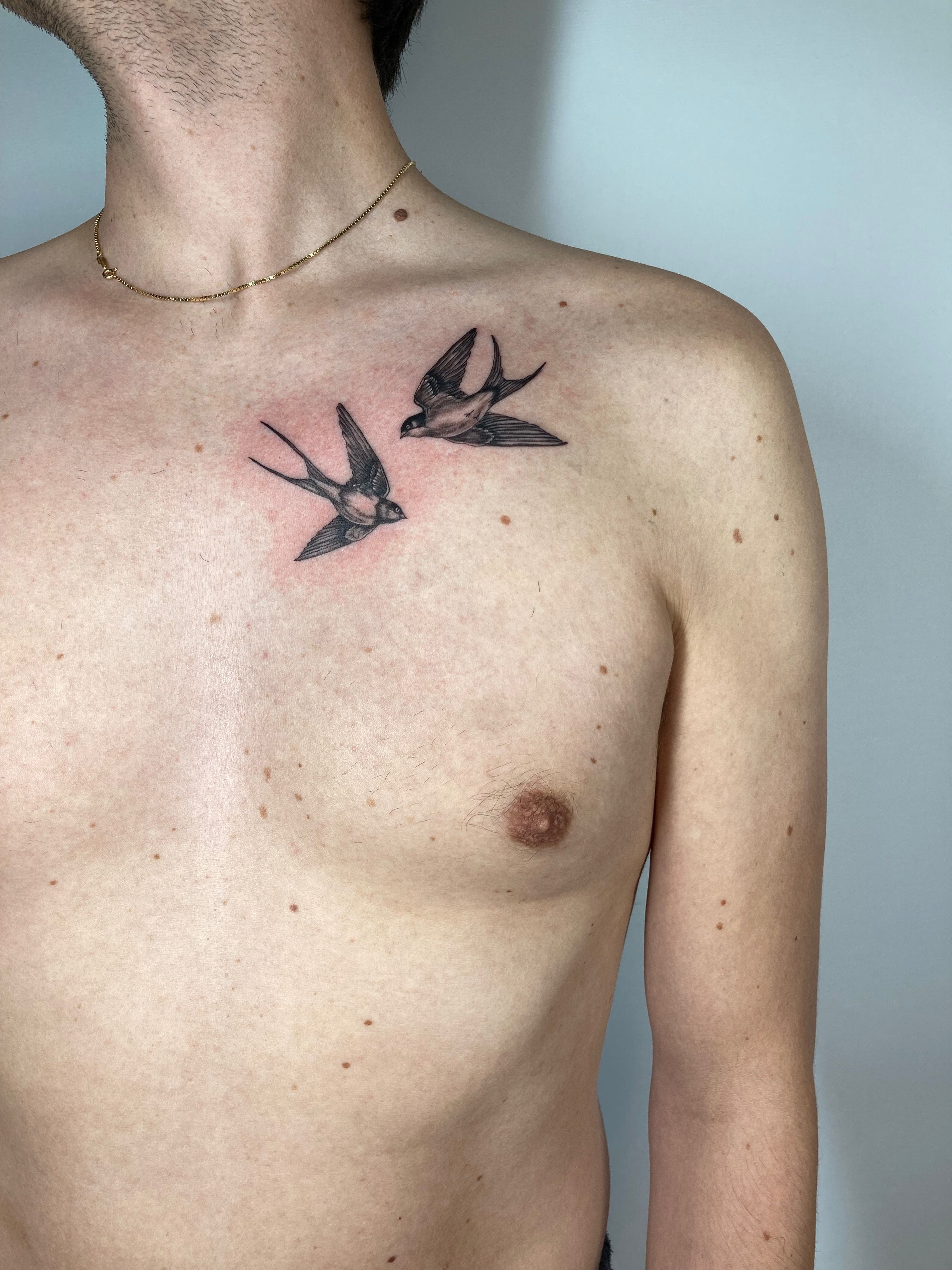 Traditional swallow tattoo on the left shoulder. | Traditional swallow  tattoo, Swallow tattoo, Sleeve tattoos