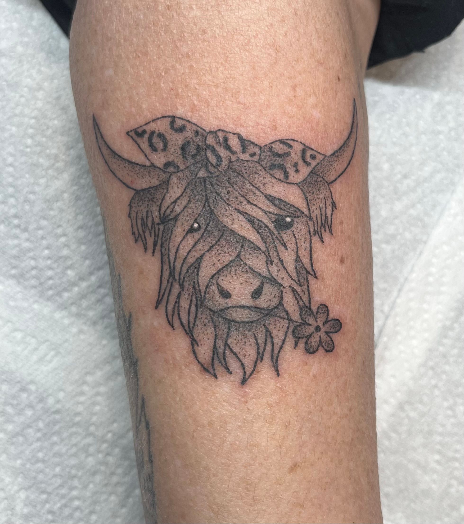Bricktop tattoo - Highland Cow Cover up done today by Aimee :-)  #coveruptattoo #shouldertattoo #highlandcow | Facebook