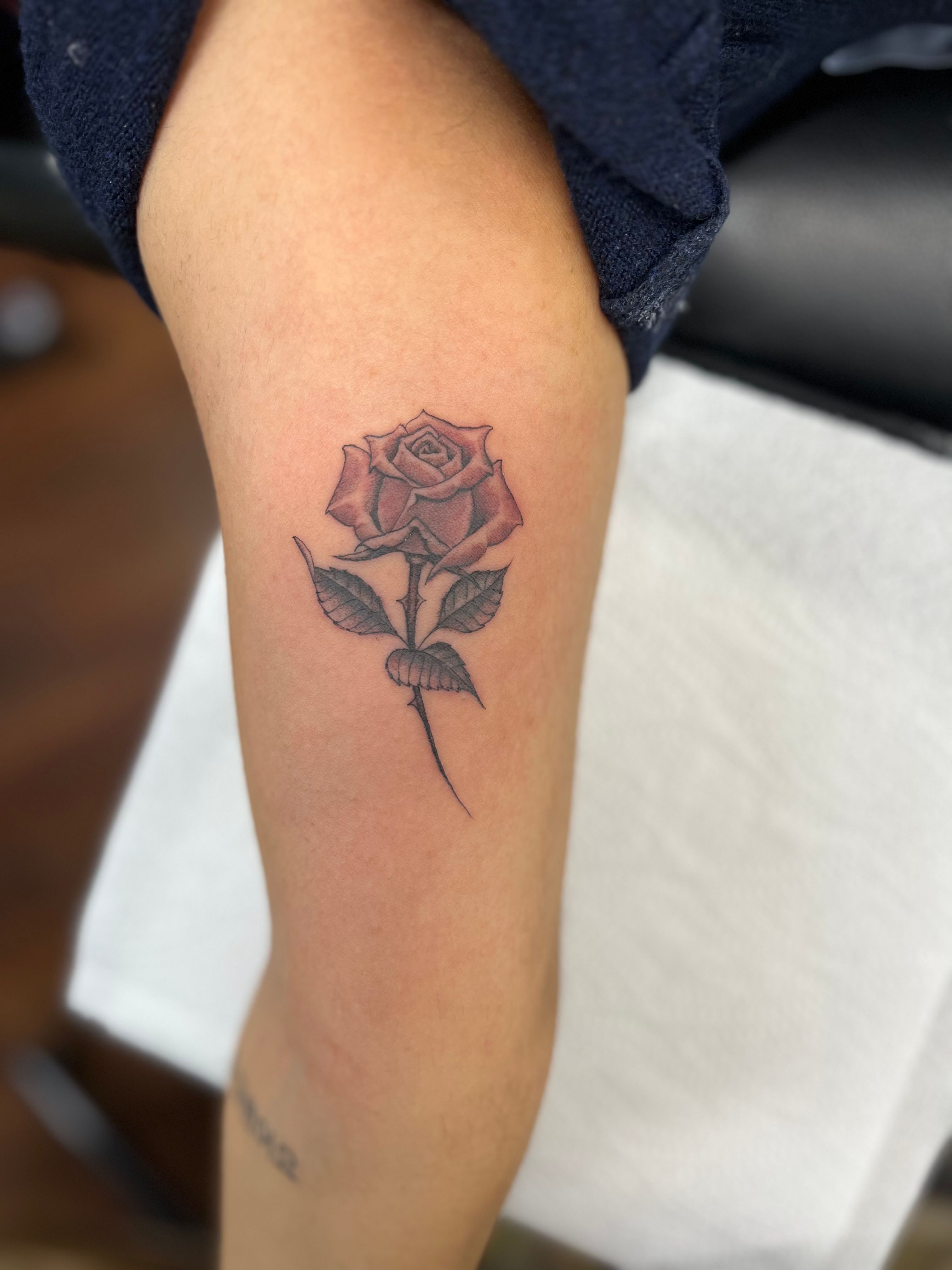 Rose Tattoos, Images and Design Ideas - TattooList