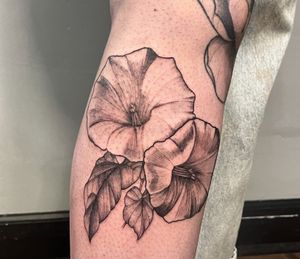 A pair of moon flowers Thanks for looking! To book, link in bio! #tattoo #tattooartist #chicagotattooartist #flowertattoo #blackandgreytattoo #chicagotattooshop #moonflower #chicago