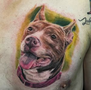 Laylas portrait This one hit home. I had a great time doing this piece. For booking, link in bio! #colorportrait #dogportrait #dogportraittattoo #colorrealism #colorrealismtattoo #chicagotattooartist
