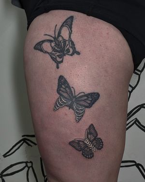 Sleek blackwork and dotwork butterfly design by Alien Ink, created using hand-poke technique for a unique and illustrative look.