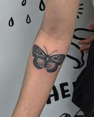 Discover the intricate beauty of blackwork, dotwork, and hand-poked moth tattoo created by the talented artists at Alien Ink.