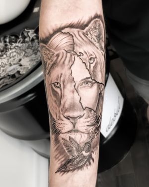 Black and grey realism - lion with female portrait and hummingbird 