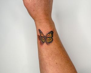 3D Colour realism butterfly 
