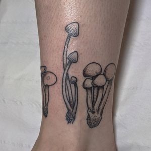 Experience the enchantment of blackwork, dotwork, hand_poke, and illustrative styles with this mesmerizing mushroom tattoo by Alien Ink.