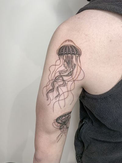 Fine line , black and grey jellyfish 