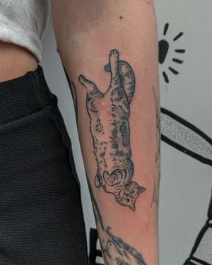 Experience the elegance of blackwork and dotwork in this unique hand-poked cat tattoo by the talented artists at Alien Ink.