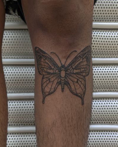 Experience the delicate beauty of a hand-poked butterfly tattoo in intricate dotwork style by the talented artists at Alien Ink.