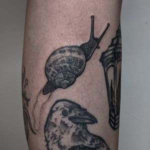 Unique dotwork and hand-poked design of a snail, expertly executed by Alien Ink. Get a one-of-a-kind piece today!