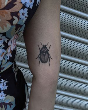 Unique hand-poked dotwork design featuring a beetle motif, expertly crafted by Alien Ink for a one-of-a-kind tattoo experience.