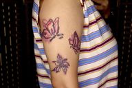 #Floral #butterfly watercolor painting style