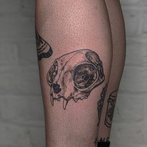 Get a unique dotwork tattoo of a cat and skull by the talented artists at Alien Ink. Express your love for felines and the darker side of life in one stunning design.