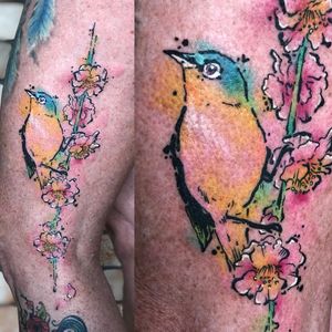 watercolor sakuras with bird