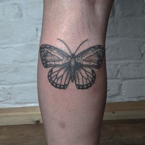 Experience the beauty of dotwork with this illustrative butterfly tattoo designed by Alien Ink. Make a statement with this unique and intricate piece of art.