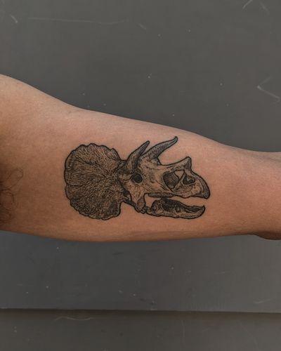 Hand-poked illustrative tattoo of a triceratops skull by Alien Ink, featuring intricate dotwork details.