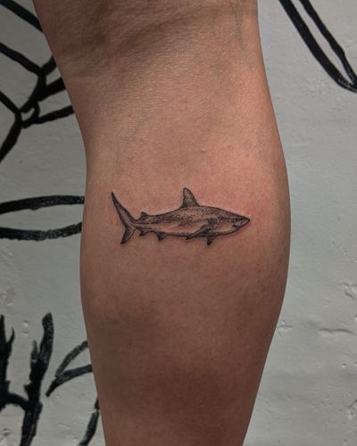 Get a unique illustrative shark design by Alien Ink, using intricate dotwork technique for a one-of-a-kind tattoo experience.