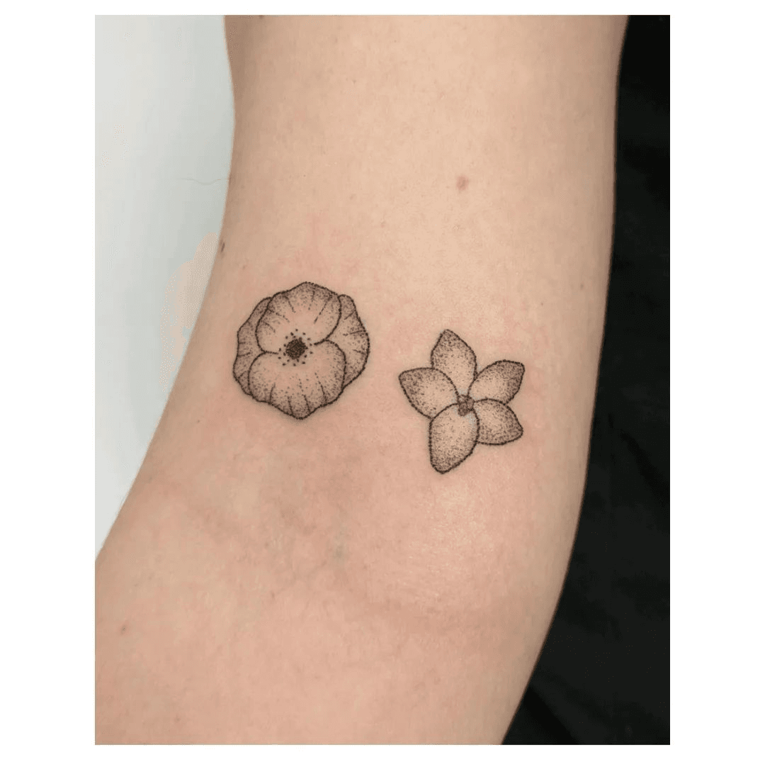 Premium Vector | Minimalist aster flower tattoo black aster tattoo small  black aster tattoo aster flower drawing