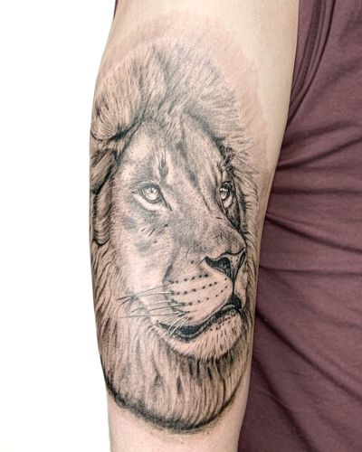 Black and grey realism lion portrait 