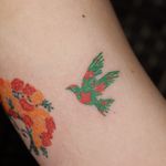 Bird colour tattoo * oilpastel drawing watercolor style