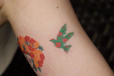 Bird colour tattoo * oilpastel drawing watercolor style