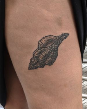 Explore the intricate beauty of dotwork and hand_poke techniques with this illustrative shell conch tattoo by the talented Alien Ink.