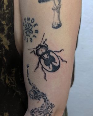 Evoke ancient symbolism with Alien Ink's mesmerizing blackwork beetle design. A timeless masterpiece for your skin.
