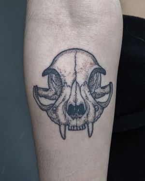 Get a unique dotwork and hand poke illustrative skull tattoo by the talented artists at Alien Ink.