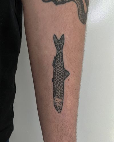 Unique dotwork fish tattoo created with hand poke technique by Alien Ink. Detailed and artistic design.