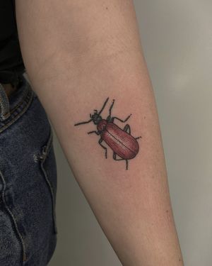 Elegant dotwork style beetle tattoo with intricate illustrative details, created by the talented artists at Alien Ink.