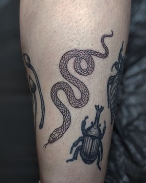 Get a unique dotwork snake tattoo done by hand-poke technique at Alien Ink for a one-of-a-kind illustrative design.