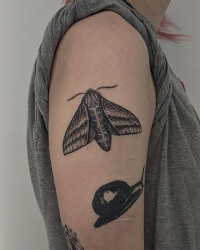 Elegant blackwork and dotwork hand-poked moth tattoo, masterfully crafted by Alien Ink. A unique and striking piece.