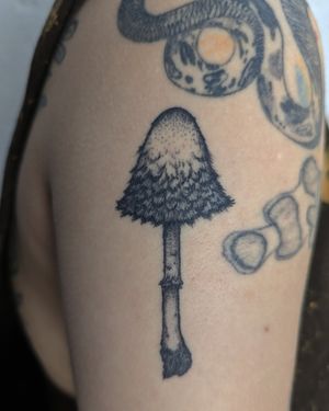 Get a unique dotwork hand-poked mushroom design by Alien Ink, combining creativity and precision for a stunning tattoo.