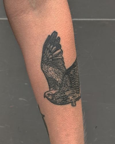 Capture the strength and freedom of the eagle with intricate dotwork and illustrative style, hand-poked by Alien Ink.