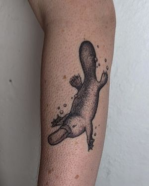 Experience the magic of dotwork and illustrative style with this hand-poked platypus tattoo by Alien Ink. A one-of-a-kind design for nature lovers.