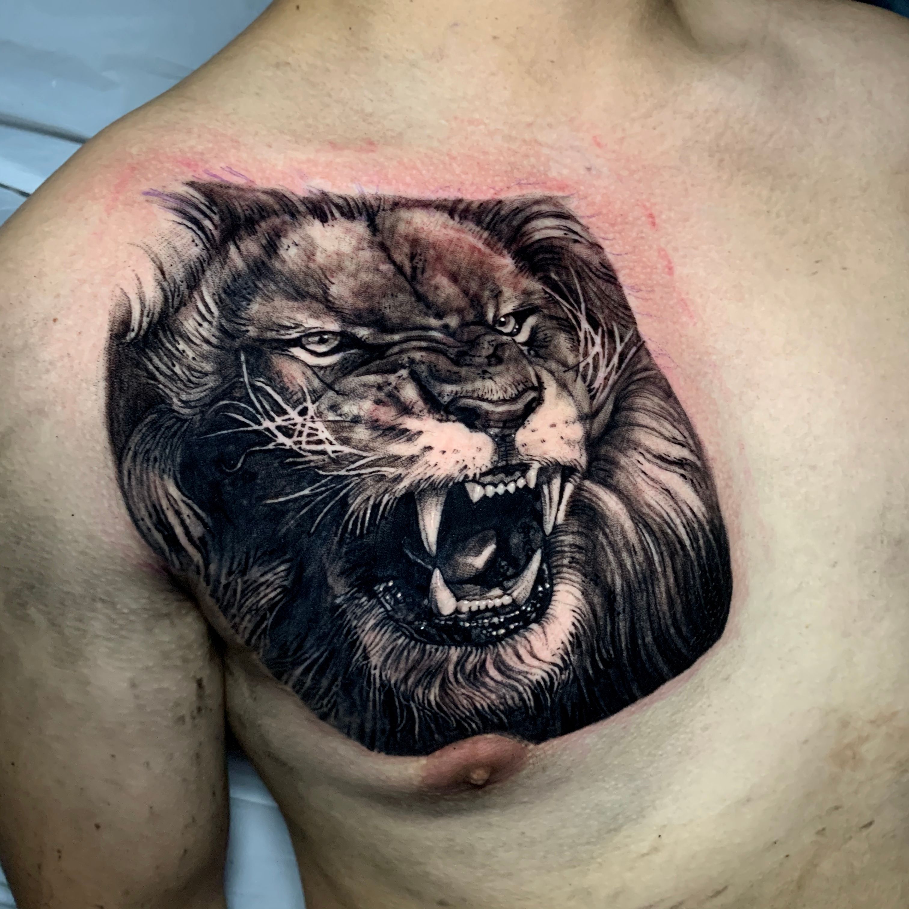 Majestic Lion Realistic Portrait Tattoo Sticker