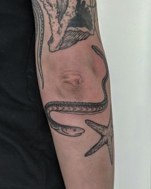 Unique illustrative design by Alien Ink, combining an eel and starfish in a dotwork and hand poke style.