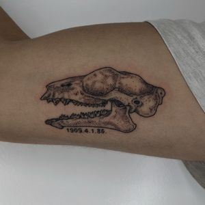Get a unique and detailed illustrative skull tattoo by the talented artists at Alien Ink. Perfect for those looking for a bold and edgy design.