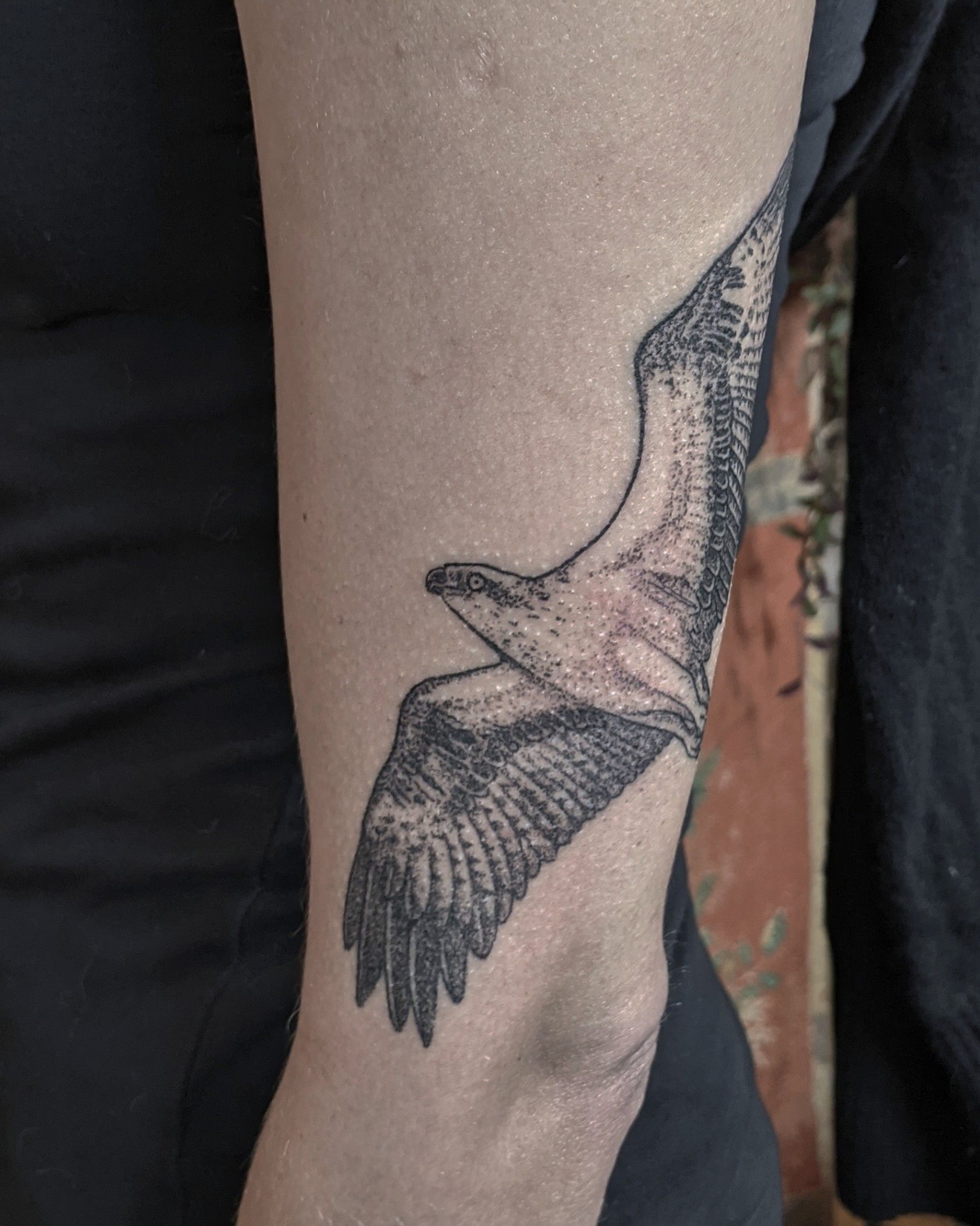 100 Hawk Tattoo Designs for Men [2024 Inspiration Guide] | Hawk tattoo,  Tattoo designs men, Tattoo designs