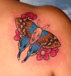 Neotraditional moth