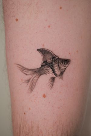 Explore the depths with this stunning black and gray tattoo of a fish and shark by the talented artist Alexander Rufio.