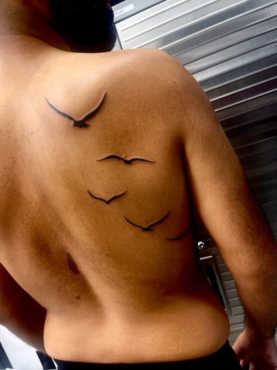 Fly high with this illustrative seagull tattoo by Miss Vampira, featuring a stunning shadow effect. Perfect for nature lovers.