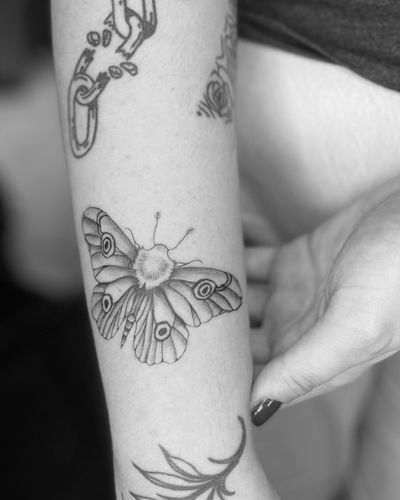 beautiful moth tattoo
