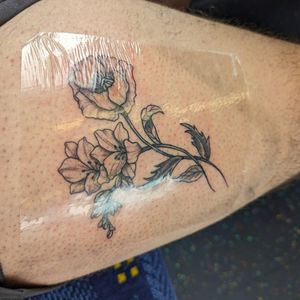 A poppy and a freesia my 2 grandmothers' favourite flowers. 6/2/24 £200 By Andrea @ Hackney Tattoo Parlour 